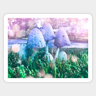 Mushroom Daydreams Sticker